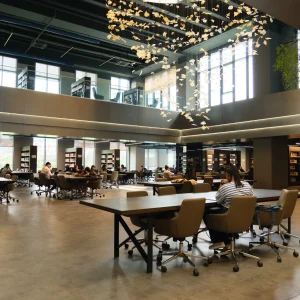 İstinye Üniversitesi