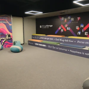 İstinye Üniversitesi