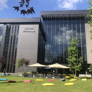 İstinye Üniversitesi